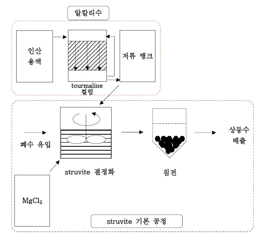 Tourmaline을 이용한 struvite 결정화 공정.