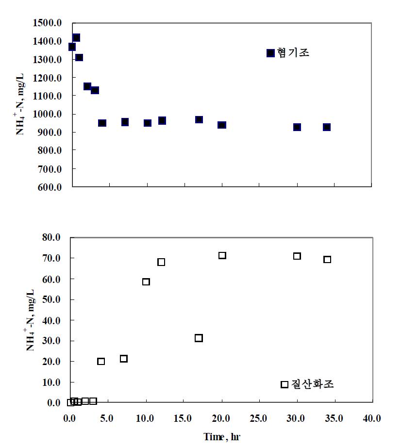 생물학적 질산화가 고려되지 않은 상태에서 암모니아 농도구배에 의한 암모니아의 이동 실험결과.