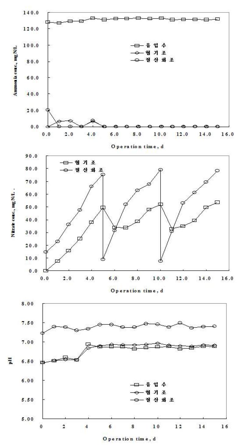 그림 4-4. 암모니아 체적부하 0.03 kg N/m3/d에 대한 연속운전 실험결과.