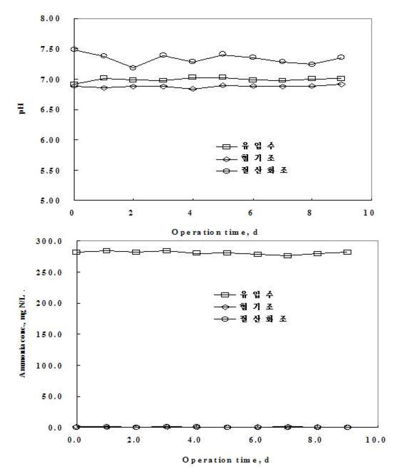 암모니아 체적부하 0.06 kg N/m3/d에 대한 연속운전 실험결과.