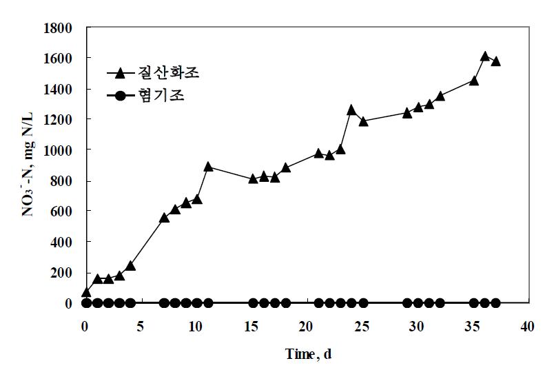 질산화조와 혐기조에서의 질산염 농도 변화.