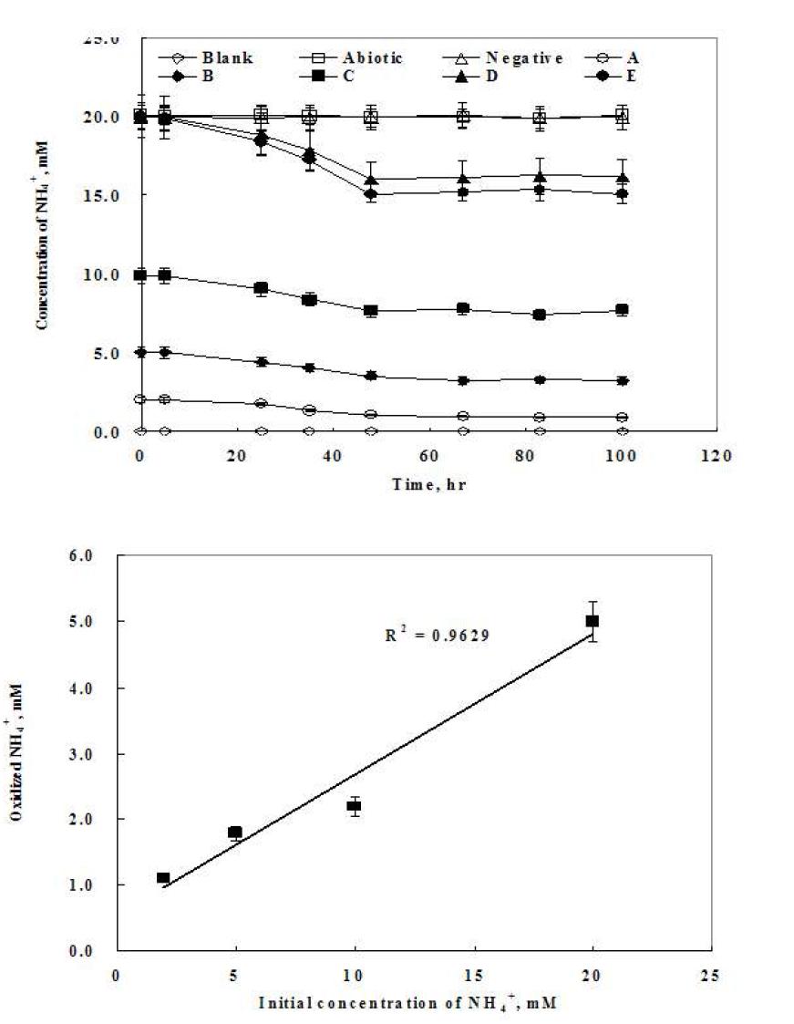시간에 따른 암모니아의 농도변화 및 암모니아 제거량과 초기 암모니아 농도의 상관관계.