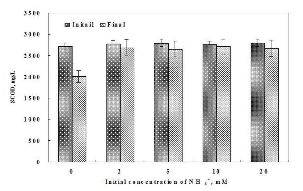 암모니아 농도별 초기 및 최종 SCOD 분석치 비교.