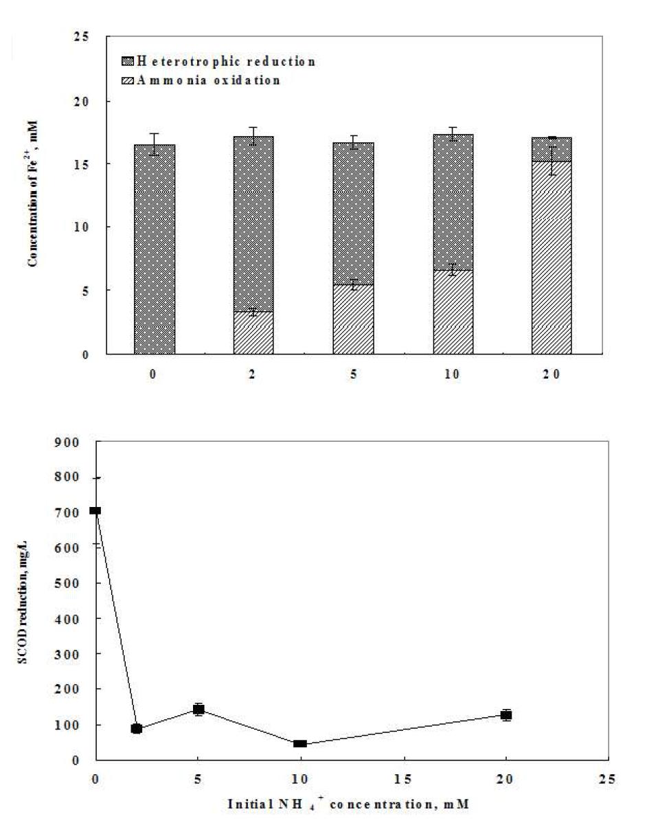 초기 암모니아 농도별 SCOD 값의 변화와 heterotrophic iron reduction과 autotrophic iron reduction의 비교.