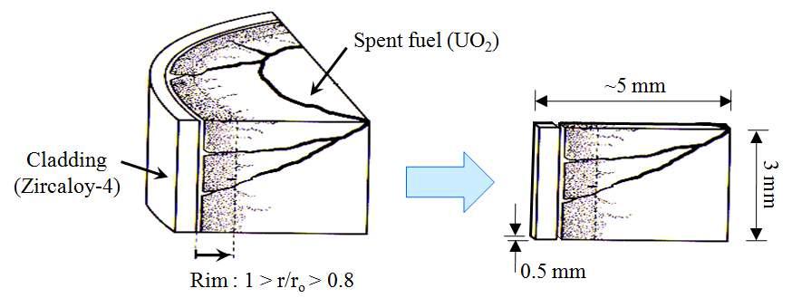 Preparation of spent fuel specimen