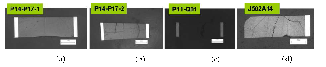 Prepared spent fuel specimens originating from the Yeonggwang NPP in Korea