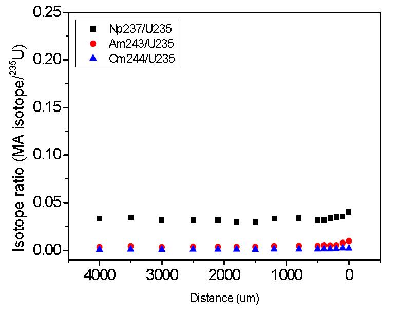 Distributions of minor actinides (237Np, 243Am, 244Cm) across the radius of a spent nuclear fuel (33.3 GWd/tU) discharged from the Yeonggwang-2 PWR reactor.