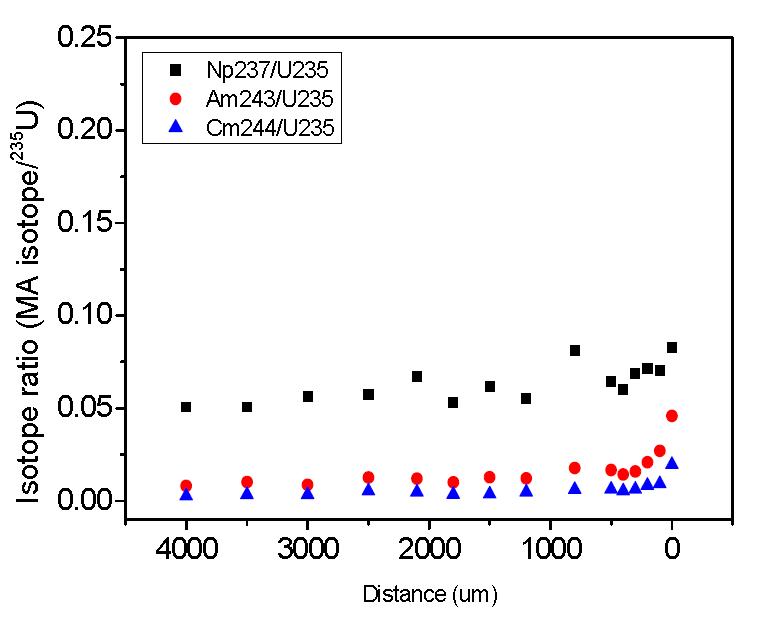 Distributions of minor actinides (237Np, 243Am, 244Cm) across the radius of a spent nuclear fuel (41.0 GWd/tU) discharged from the Yeonggwang-2 PWR reactor.