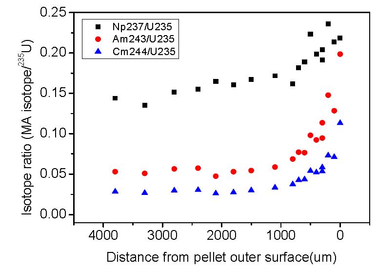 Distributions of minor actinides (237Np, 243Am, 244Cm) across the radius of a spent nuclear fuel (57.6 GWd/tU) discharged from the Yeonggwang-2 PWR reactor.