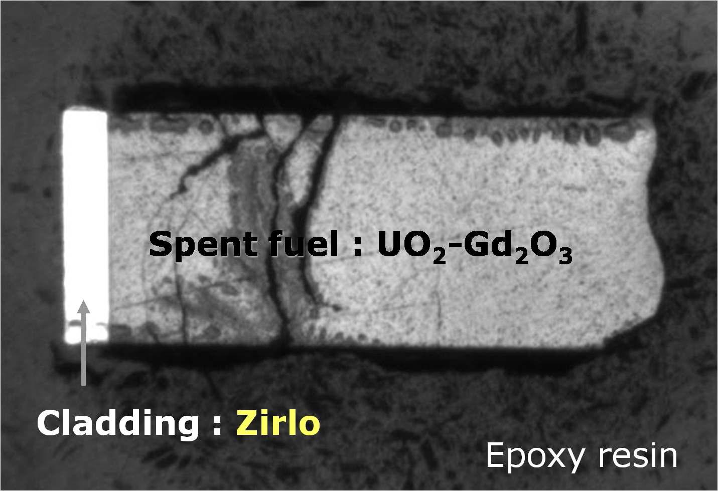 Prepared UO2 - Gd2O3 (5.98 wt%) spent fuel specimen. (Spent fuel discharged from Kori-3 PWR reactor, burn-up: 41 GWd/tU)