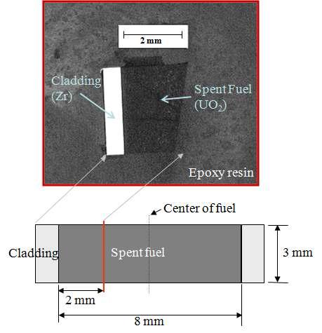 A spent fuel specimen prepared in 3×3×0.5 mm size to reduce the background signal by high radiation (average burn up: 57.6 GWd/tU).