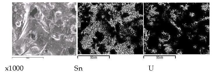 Scanning electron image(SEI) and elemental mapping images for the melt by fusion of an segment of UO2(0.03 g) pellet with granule tin(0.98 g) at 750A and 60 seconds.