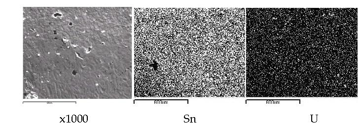 Scanning electron image(SEI) and elemental mapping images for the melt by fusion of an segment of UO2(0.087 g) pellet with two tin pellets(1.0 g) at 750A, 60 seconds.