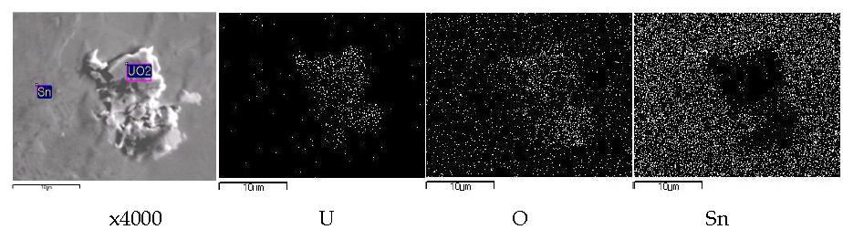 Scanning electron image(SEI) and elemental mapping images for the melt by fusion of an segment of UO2(0.087 g) pellet with two tin pellets(1.0 g) at 750 A, 60 seconds.