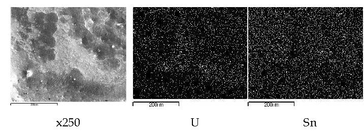 Scanning electron image(SEI) and elemental mapping images for the bottom of the melt by fusion of an segment of UO2(0.087 g) pellet with tin pellets(1.0 g) at 750 A, 60 seconds.