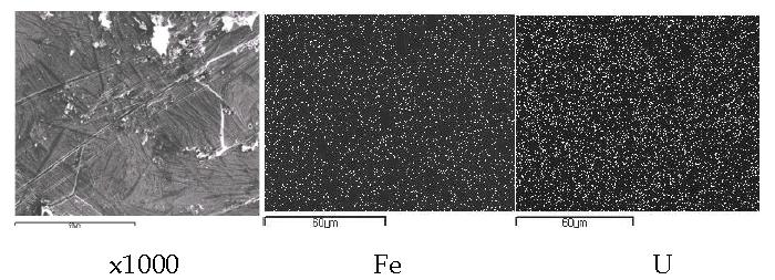 Scanning electron image(SEI) and elemental mapping images for the melt by fusion of an segment of UO2(0.152 g) pellet with granule iron(0.6 g) at 750A, 60 seconds