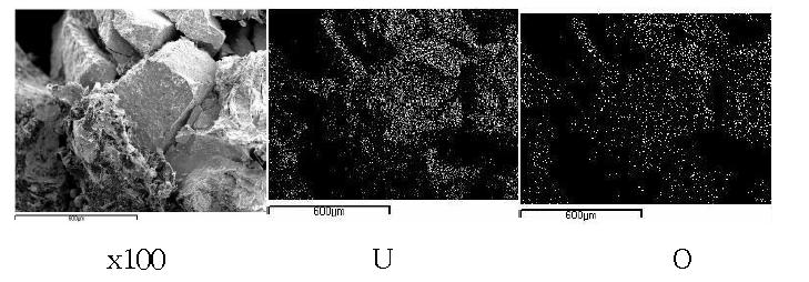 Scanning electron image(SEI) and elemental mapping images for the melt by fusion of a segment of UO2(0.144g) pellet with granule copper(1.44 g) at 750A, 60 seconds.