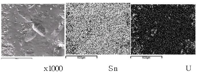 Scanning electron image(SEI) and elemental mapping images for the melt by fusion of a segment of SIMFUEL(0.1095 g) pellet with two tin pellets(1.0 g) at 750A, 60 seconds.