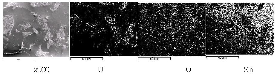 Scanning electron image(SEI) and elemental mapping images for the bottom of the melt by fusion of a segment of SIMFUEL(0.1095 g) pellet with two tin pellets(1.0 g) at 750A, 60 seconds.