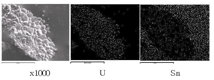 Scanning electron image(SEI) and elemental mapping images for the bottom of the melt by fusion of a segment of SIMFUEL(0.1095 g) pellet with two tin pellets(1.0 g) at 750A, 60 seconds.