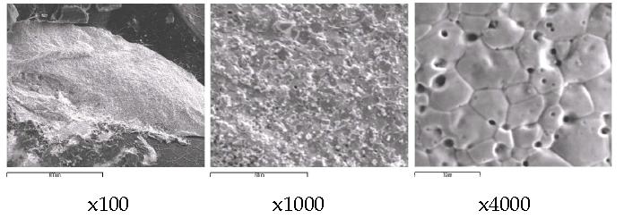 Scanning electron image(SEI) for the melt by fusion of a segment of SIMFUEL(0.1149 g) pellet with granule iron(1.1 g) at 750A for 60 seconds.