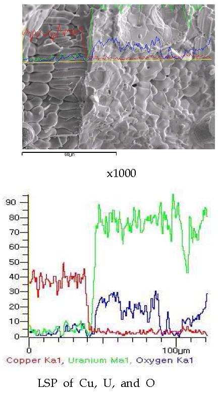 Line scanning profile (LSP) for the melt by fusion of a segment of SIMFUEL (0.0895 g) pellet with granule copper(0.89 g) at 750A, 60 seconds.