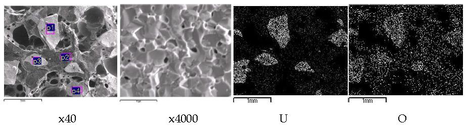 Scanning electron image(SEI) and elemental mapping for the melt by fusion of a segment of SIMFUEL(0.1261 g) pellet with a nickel basket(1.0 g) and two tin pellets(1.0 g) at 750A, 60 seconds.