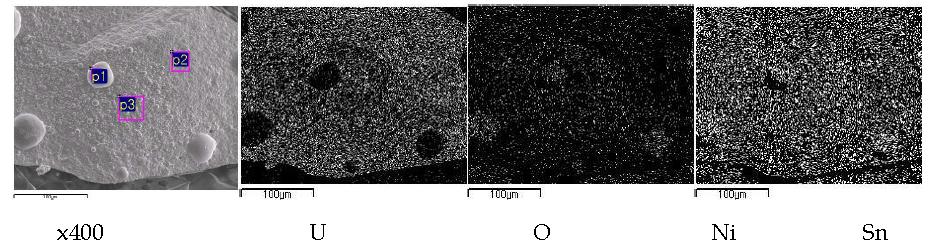 Scanning electron image(SEI) and elemental mapping for the melt by fusion of a segment of SIMFUEL(0.1261 g) pellet with a nickel basket(1.0 g) and two tin pellets(1.0 g) at 750 A, 60 seconds.