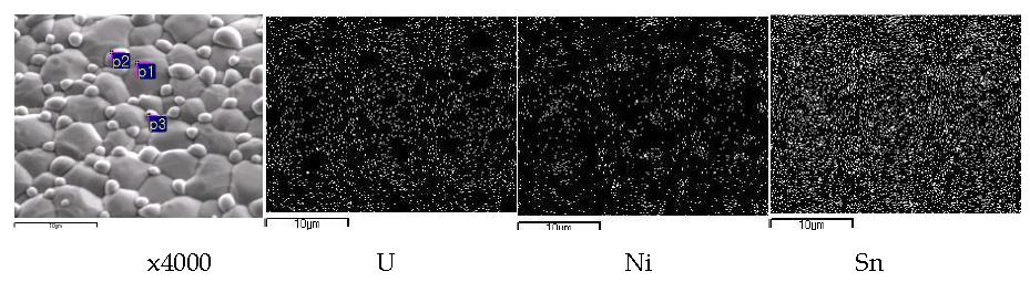 Scanning electron image(SEI) and elemental mapping for the melt by fusion of a segment of SIMFUEL(0.1270 g) pellet with a nickel basket(1.0 g)and two tin pellets(1.0 g) at 850 A, 38 seconds.