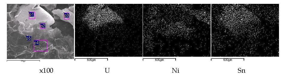 Scanning electron image(SEI) and elemental mapping for the melt by fusion of a segment of SIMFUEL(0.1270 g) pellet with a nickel basket(1.0 g) and a tin pellet(0.5 g) at 900 A, 55 seconds.