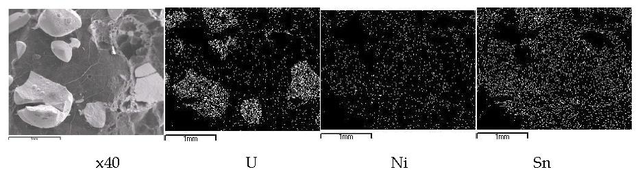 Scanning electron image(SEI) and elemental mapping for the melt by fusion of a SIMFUEL (0.1270 g) segment with a nickel basket (1.0 g) and two tin pellets (1.0 g) at 850A, 38 seconds.