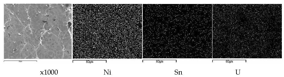 Fig. 3-2-46. Scanning electron image (SEI) and elemental mapping for the melt by fusion of a segment of SIMFUEL (0.1172 g) pellet with a nickel basket (1.0 g) and two tin pellets (1.0 g) at 850 A for 100 seconds.