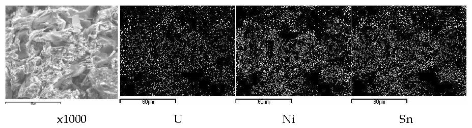 Scanning electron image (SEI) and elemental mapping for the melt by fusion of a SIMFUEL (0.140 g) segment with a nickel basket (1.0 g), a tin pellet (0.5 g) and graphite powder (0.15 g) at 850 A for 83 seconds.