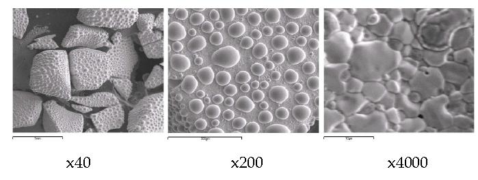 Fig. 3-2-51. Scanning electron image (SEI) of the melt by fusion of a SIMFUEL (0.1396 g) segment with a nickel basket(1.0 g) at 900 A, 83 s.