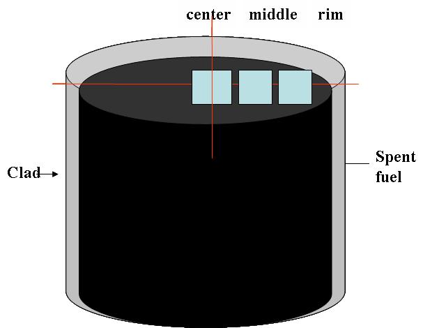 Sampling positions of an irradiated UO2 pellet.