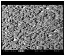 Back scattering electron image(BEI) (x500)