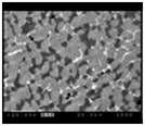 Back scattering electron image(BEI) (x1000)