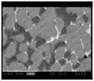 Back scattering electron image(BEI) (x2000)