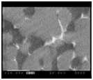 Back scattering electron image(BEI) (x3000)