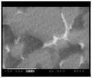 Back scattering electron image(BEI) (x4000)