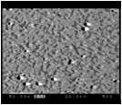 Back scattering electron image(BEI) (x500)