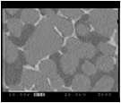 Back scattering electron image(BEI) (x3000)