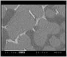 Back scattering electron image(BEI) (x4000)