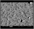 Back scattering electron image(BEI) (x1000)