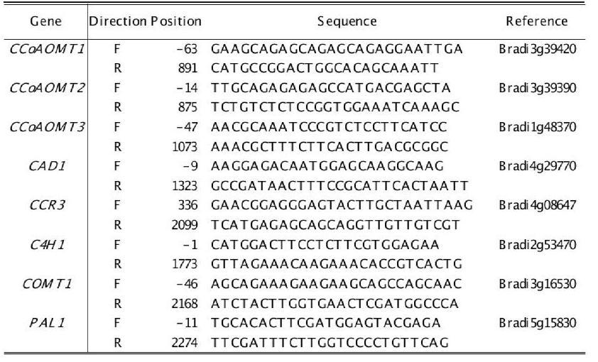 The nucleotide sequences of primers. The 8 pairs of primers from the top of the ‘Gene’ column were used for isolate genes involved in lignin biosynthesis.