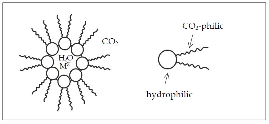 The Structure of extractants forming microemusions for carbon dioxide applicants