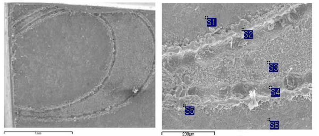 SEM micrographs of the bare Type 304 stainless steel specimen after applying Nd:YAG pulse laser