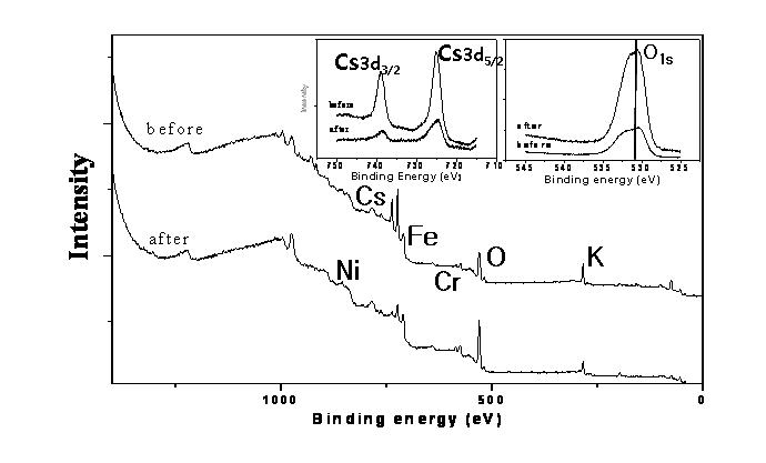 XPS spectra of SUS 304 surface contaminated with 0.016 M CsCl + 0.03 M KCl solution