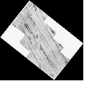 그림 3.1.2-33 TEM micrograph of dislocation structure in Nb deformed at 50K