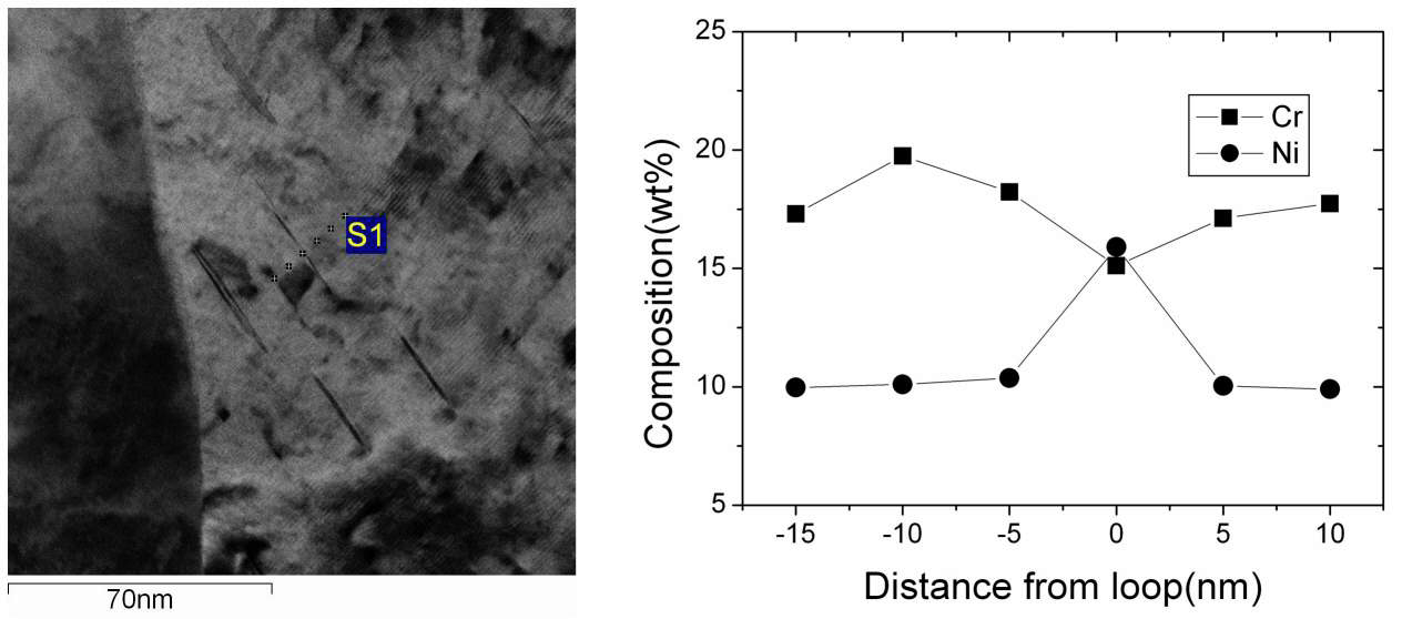 그림 3.2.1-23 이온조사 스테인리스강에서 관찰되는 전위루프 이미지들(왼) 및 전위루프 주위의 조성 분포를 나타내는 EDS 분석 결과(오른)